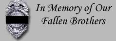 In Memory of Our Fallen Bravest