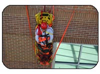 Rope Rescue